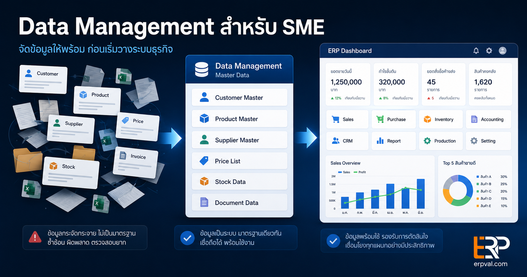 data-management-for-sme-before-erp